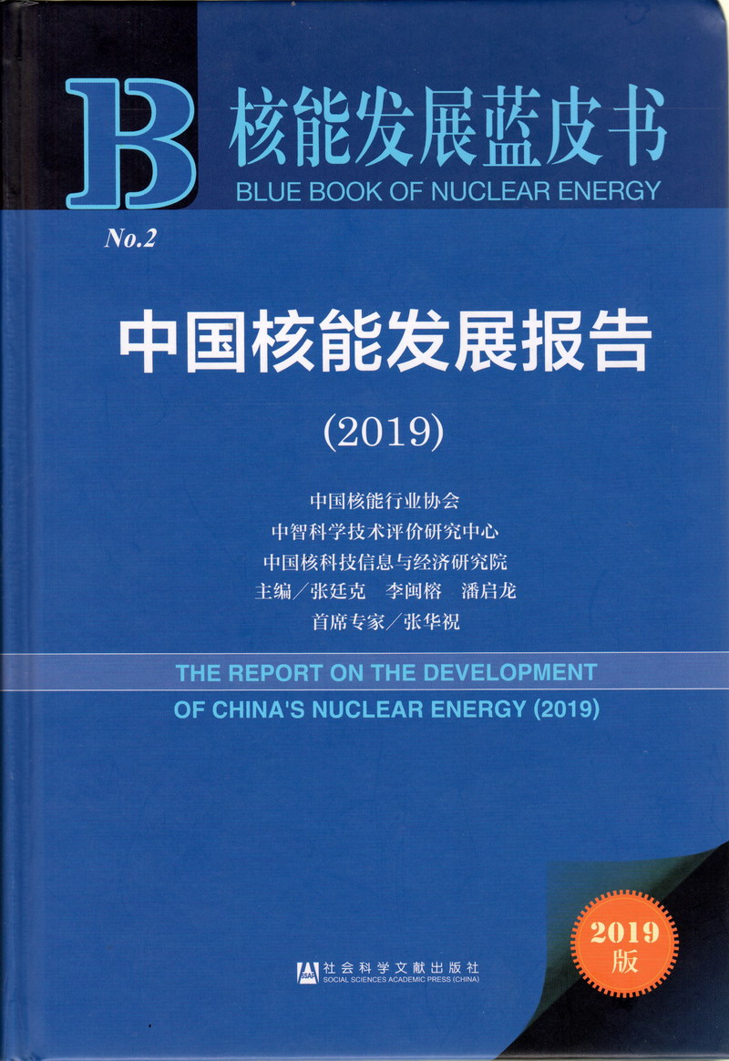 精品人妻一区二区三区视频53一中国核能发展报告（2019）